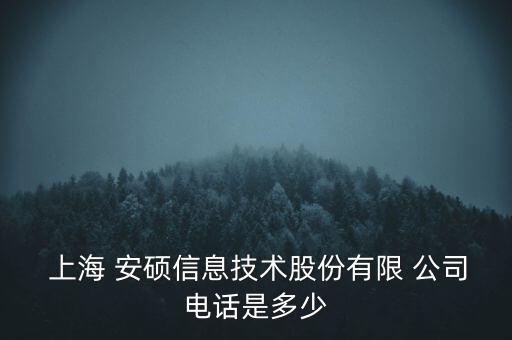  上海 安碩信息技術股份有限 公司電話是多少