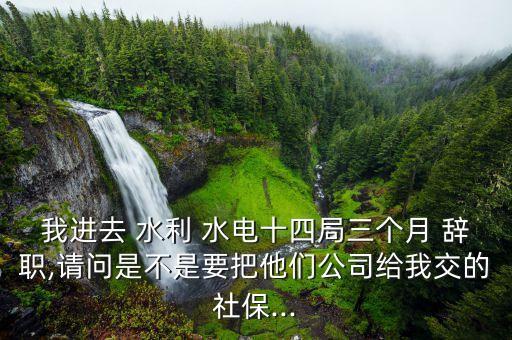 我進(jìn)去 水利 水電十四局三個(gè)月 辭職,請(qǐng)問是不是要把他們公司給我交的社保...