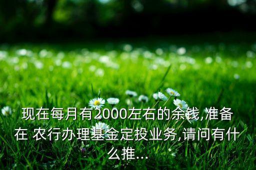 現(xiàn)在每月有2000左右的余錢,準(zhǔn)備在 農(nóng)行辦理基金定投業(yè)務(wù),請(qǐng)問(wèn)有什么推...