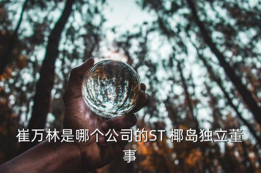 崔萬(wàn)林是哪個(gè)公司的ST 椰島獨(dú)立董事