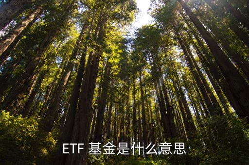 etf基金申購和贖回,ETF基金申購和贖回份額需要50萬份