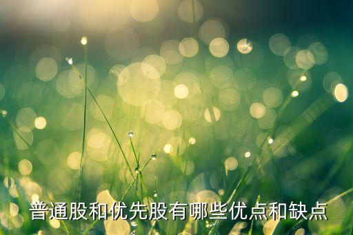 普通股投資的風(fēng)險,優(yōu)先股與普通股的風(fēng)險