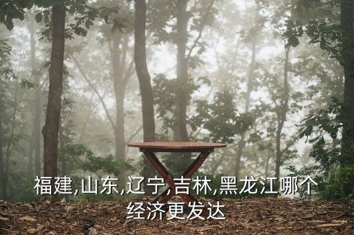 福建,山東,遼寧,吉林,黑龍江哪個經(jīng)濟更發(fā)達