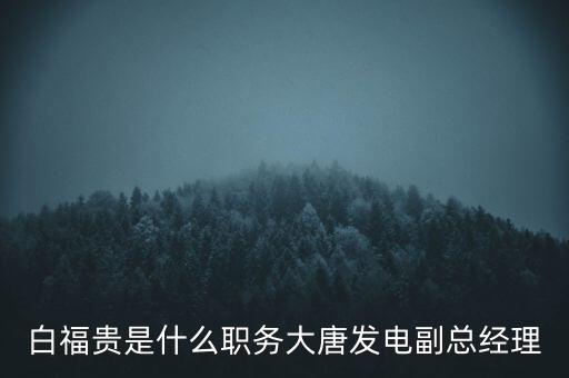 白福貴是什么職務(wù)大唐發(fā)電副總經(jīng)理