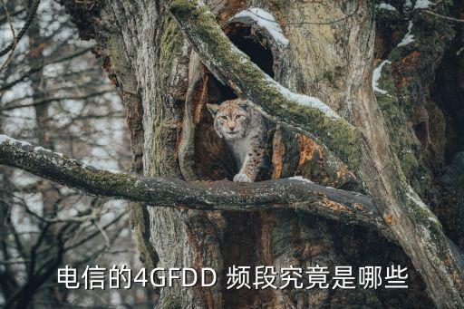 電信的4GFDD 頻段究竟是哪些