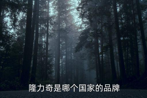 隆力奇公司年會