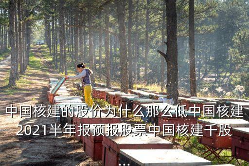 中國核建的股價為什么那么低中國核建2021半年報預(yù)報股票中國核建千股...