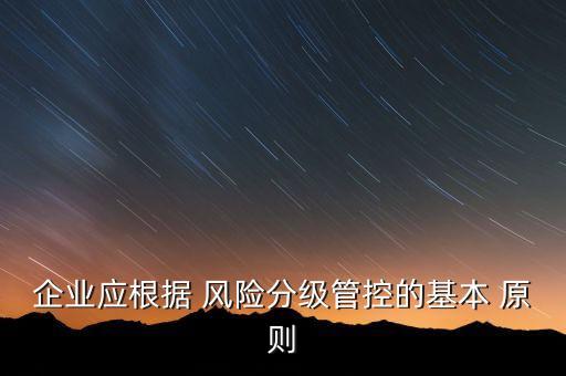 公司風(fēng)險管理原則,風(fēng)險管理原則與實施指南