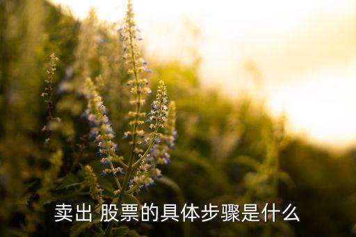 怎樣委托賣(mài)股票,晚上委托的股票第二天可以賣(mài)嗎