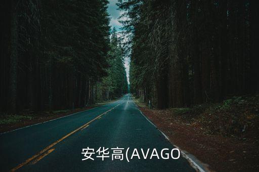  安華高(AVAGO