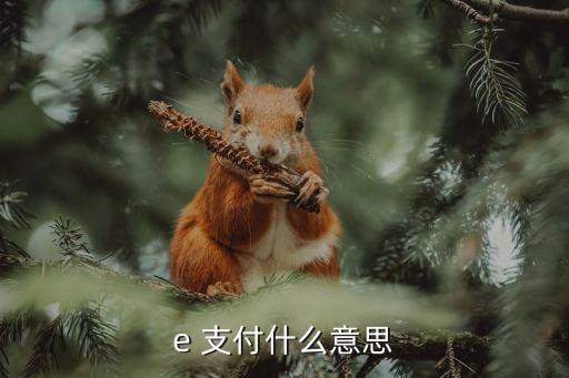 e 支付什么意思