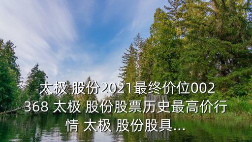  太極 股份2021最終價(jià)位002368 太極 股份股票歷史最高價(jià)行情 太極 股份股具...