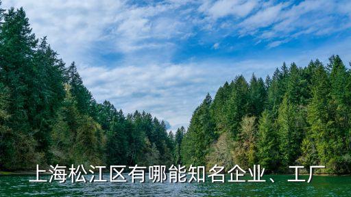  上海松江區(qū)有哪能知名企業(yè)、工廠