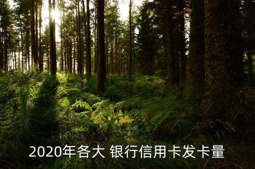 2020年各大 銀行信用卡發(fā)卡量