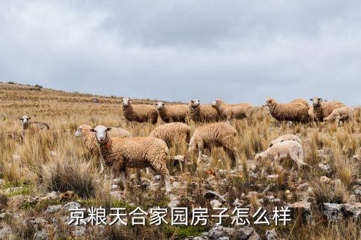 京糧天合家園房子怎么樣