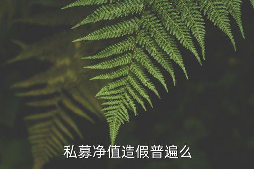  私募凈值造假普遍么