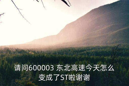 請(qǐng)問600003 東北高速今天怎么變成了ST啦謝謝