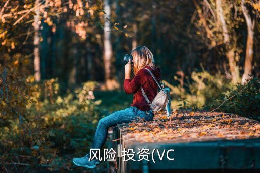  風(fēng)險 投資(VC