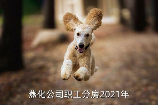 燕化公司職工分房2021年