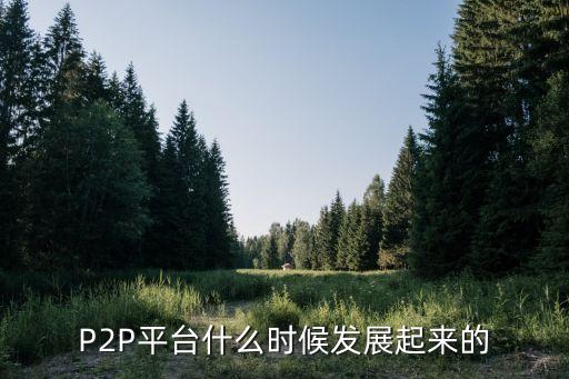 P2P平臺(tái)什么時(shí)候發(fā)展起來(lái)的