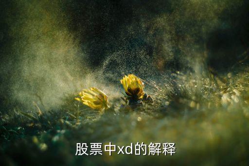  股票中xd的解釋