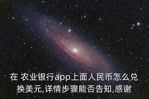 在 農(nóng)業(yè)銀行app上面人民幣怎么兌換美元,詳情步驟能否告知,感謝