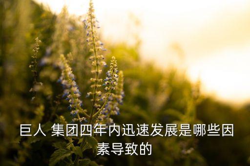  巨人 集團(tuán)四年內(nèi)迅速發(fā)展是哪些因素導(dǎo)致的