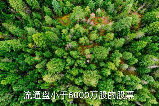 流通盤小于6000萬股的股票