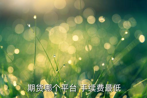  期貨哪個平臺 手續(xù)費(fèi)最低