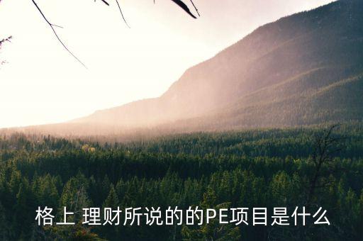  格上 理財(cái)所說的的PE項(xiàng)目是什么