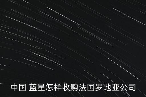 中國 藍星怎樣收購法國羅地亞公司