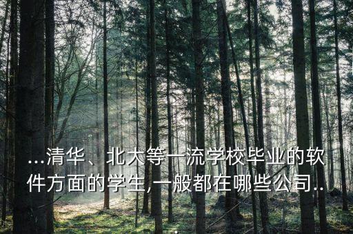 ...清華、北大等一流學(xué)校畢業(yè)的軟件方面的學(xué)生,一般都在哪些公司...