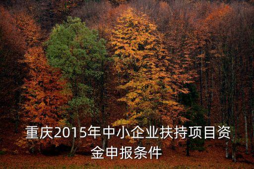  重慶2015年中小企業(yè)扶持項(xiàng)目資金申報(bào)條件