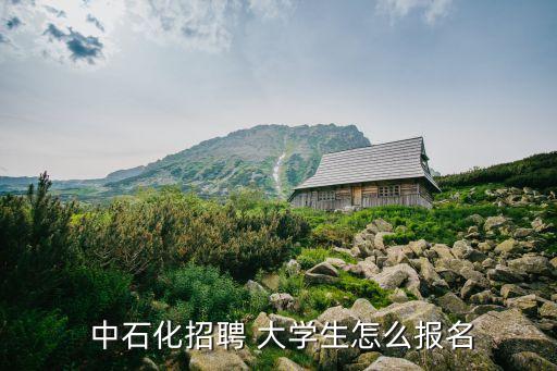  中石化招聘 大學(xué)生怎么報名