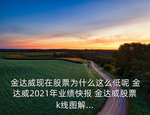  金達(dá)威現(xiàn)在股票為什么這么低呢 金達(dá)威2021年業(yè)績(jī)快報(bào) 金達(dá)威股票k線(xiàn)圖解...