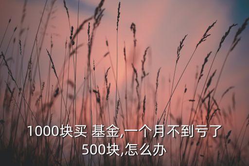 1000塊買 基金,一個月不到虧了500塊,怎么辦