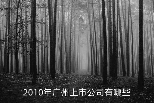 2010年廣州上市公司有哪些