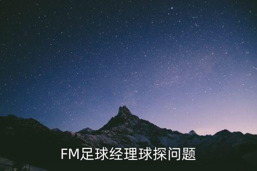 FM足球經(jīng)理球探問(wèn)題