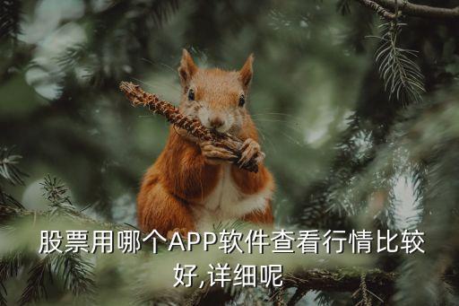  股票用哪個(gè)APP軟件查看行情比較好,詳細(xì)呢