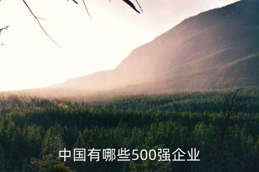 中國有哪些500強(qiáng)企業(yè)