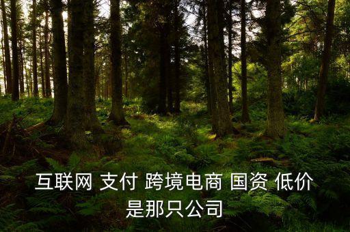 互聯(lián)網(wǎng) 支付 跨境電商 國資 低價是那只公司