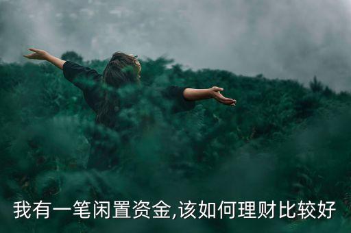 我有一筆閑置資金,該如何理財比較好