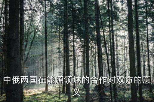 俄羅斯天然氣工業(yè)公司中國辦事處