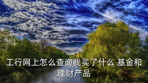 工行網(wǎng)上怎么查詢(xún)我買(mǎi)了什么 基金和理財(cái)產(chǎn)品