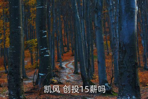  凱風 創(chuàng)投15薪嗎