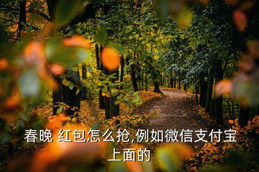  春晚 紅包怎么搶,例如微信支付寶上面的