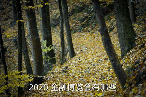 2020 金融博覽會(huì)有哪些