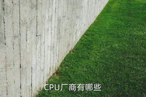 CPU廠商有哪些