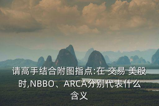 請高手結(jié)合附圖指點:在 交易 美股時,NBBO、ARCA分別代表什么含義