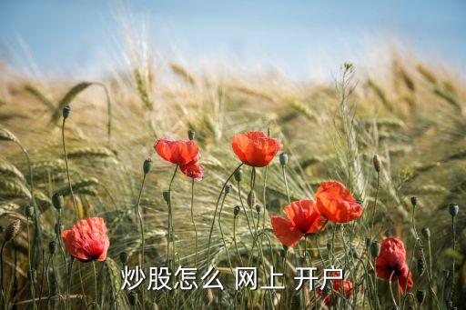 炒股怎么 網(wǎng)上 開戶